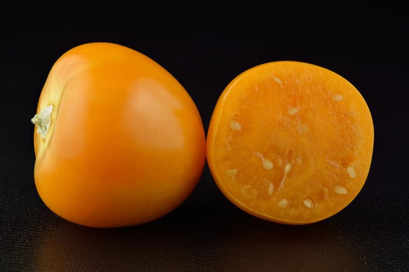 Ground-Cherry / Cape Gooseberry