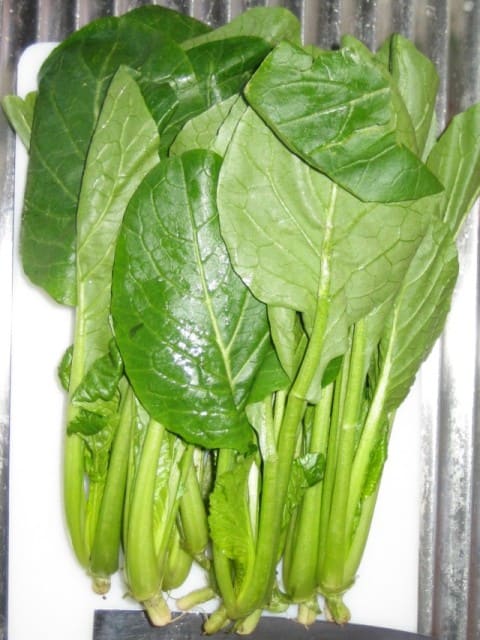 Komatsuna (Mustard Spinach)