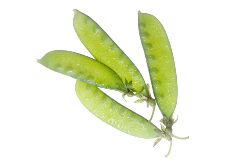 Snow Pea / Mangetout