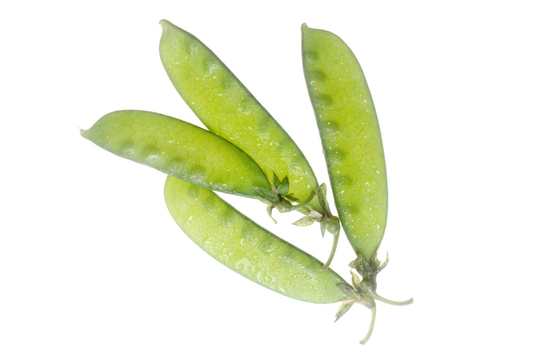 Snow Pea / Mangetout